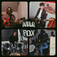 Wild-Fox